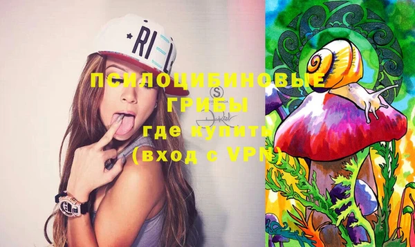 бошки Алзамай