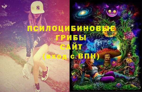 МДПВ Алексеевка