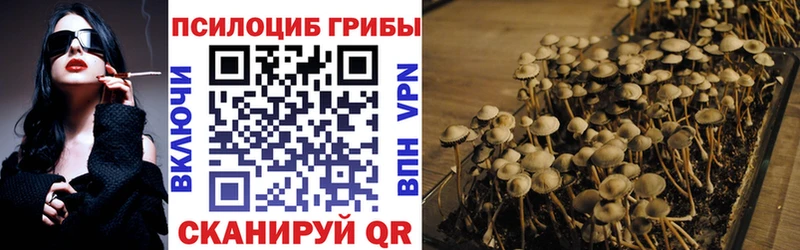 Псилоцибиновые грибы Magic Shrooms  Амурск 