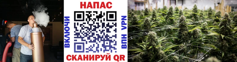 Каннабис Amnesia  цены   Амурск 